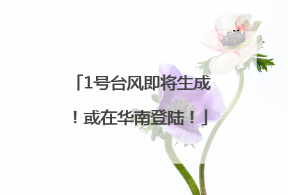 1号台风即将生成！或在华南登陆！