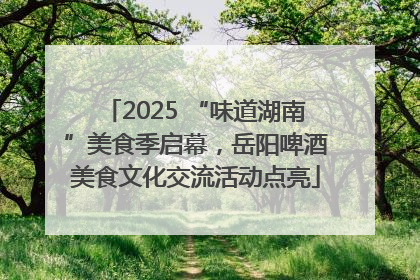 2025 “味道湖南”美食季启幕，岳阳啤酒美食文化交流活动点亮