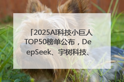 2025AI科技小巨人TOP50榜单公布，DeepSeek、宇树科技、蘑菇车联等企业荣誉上榜