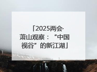2025两会·萧山观察：“中国视谷”的新江湖