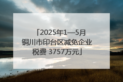 2025年1—5月铜川市印台区减免企业税费 3757万元