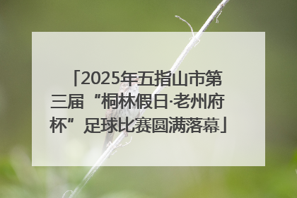 2025年五指山市第三届“桐林假日·老州府杯”足球比赛圆满落幕