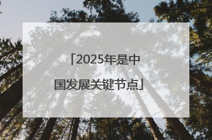 2025年是中国发展关键节点