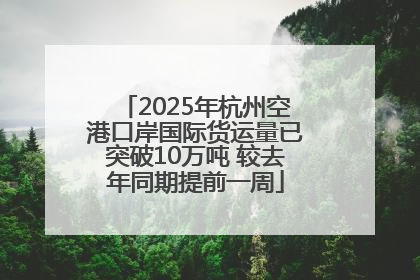 2025年杭州空港口岸国际货运量已突破10万吨 较去年同期提前一周
