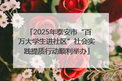 2025年泰安市“百万大学生进社区”社会实践提质行动顺利举办
