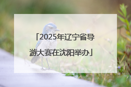 2025年辽宁省导游大赛在沈阳举办