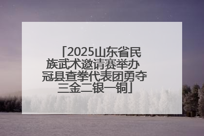 2025山东省民族武术邀请赛举办 冠县查拳代表团勇夺三金二银一铜