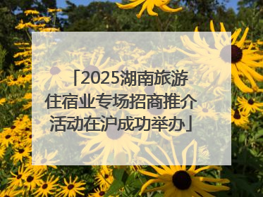 2025湖南旅游住宿业专场招商推介活动在沪成功举办