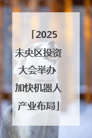 2025未央区投资大会举办 加快机器人产业布局
