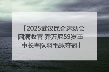 2025武汉民企运动会圆满收官 乔万尼59岁董事长率队羽毛球夺冠