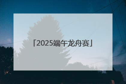 2025端午龙舟赛