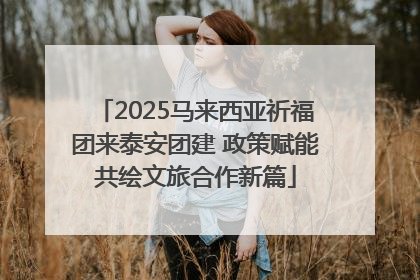 2025马来西亚祈福团来泰安团建 政策赋能共绘文旅合作新篇
