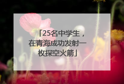 25名中学生，在青海成功发射一枚探空火箭
