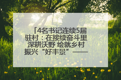 4名书记连续5届驻村：在接续奋斗里深耕沃野 绘就乡村振兴“好丰景”——浦发银行南京分行助力脱贫攻坚、帮促乡村振兴记事（二）