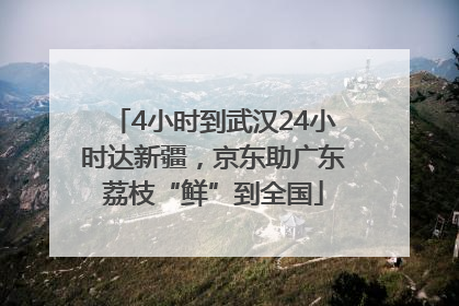4小时到武汉24小时达新疆，京东助广东荔枝“鲜”到全国