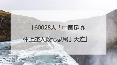60028人！中国足协杯上座人数纪录属于大连