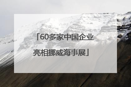 60多家中国企业亮相挪威海事展