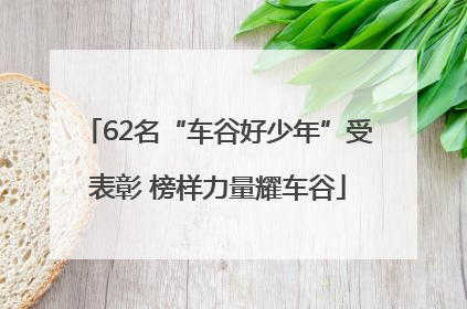 62名“车谷好少年”受表彰 榜样力量耀车谷