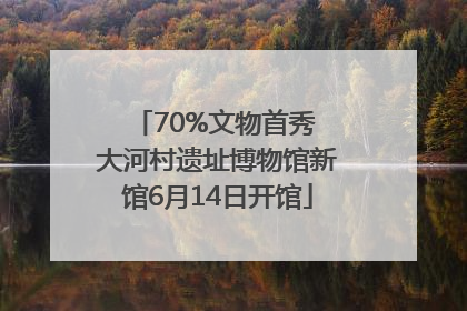 70%文物首秀 大河村遗址博物馆新馆6月14日开馆