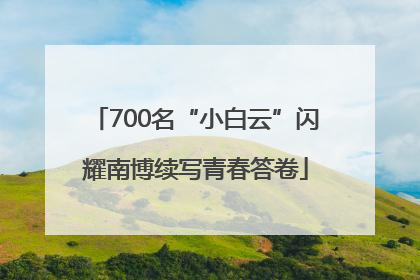 700名“小白云”闪耀南博续写青春答卷