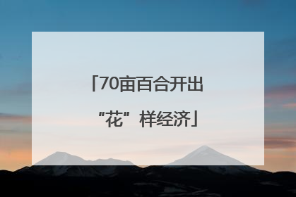 70亩百合开出“花”样经济