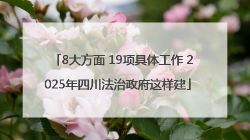 8大方面 19项具体工作 2025年四川法治政府这样建