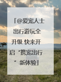@爱宠人士 出行游玩全升级 快来开启“携宠出行”新体验
