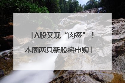A股又现“肉签”！本周两只新股将申购